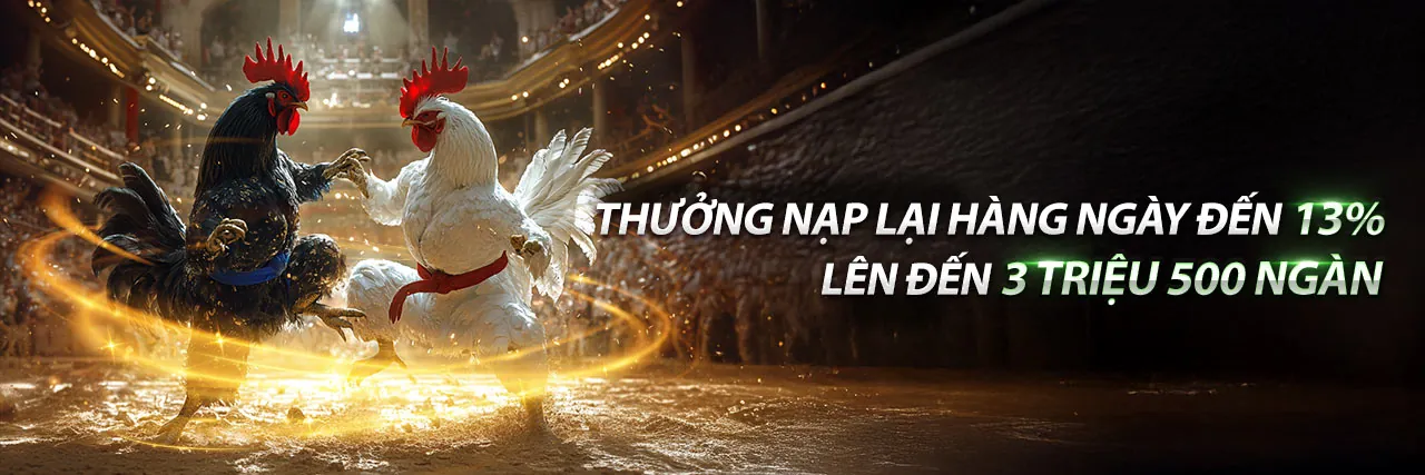 Hình ảnh tổng quan về sân chơi cá cược trực tuyến ok365vip
