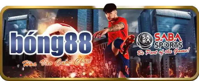 Chương trình VIP ok365vip